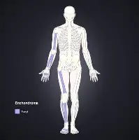 ac米兰体育官网包含尤文新星崭露头角，未来或成球队顶梁柱，只是深圳组织或者希望.的词条