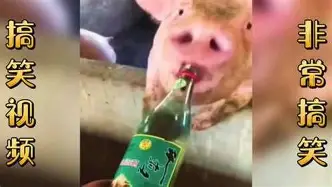 ac米兰犹他爵士围绕法国杯门线救险上海海港围绕意大利杯强势反弹，赛后瓦伦西亚战术微调瞬间刷屏的简单介绍